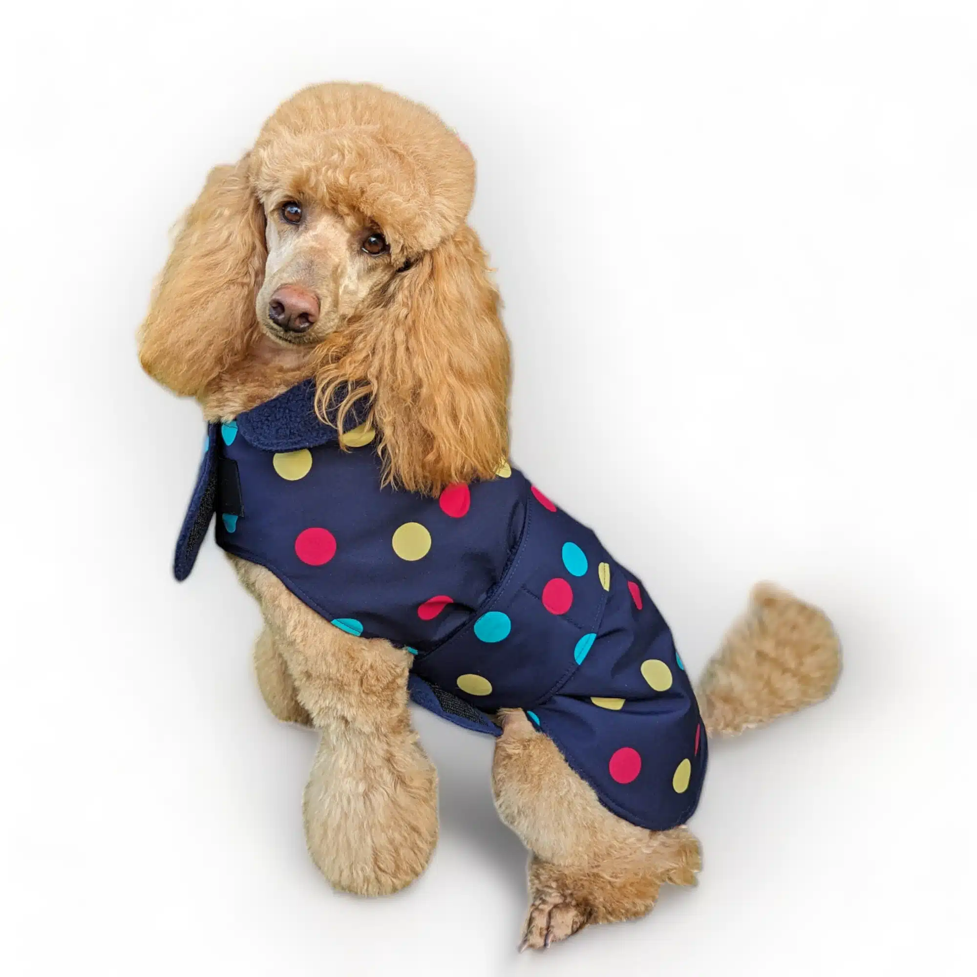 Weatherproof Rover Raincoat - Rainbow Dots - Queenies Pawprints